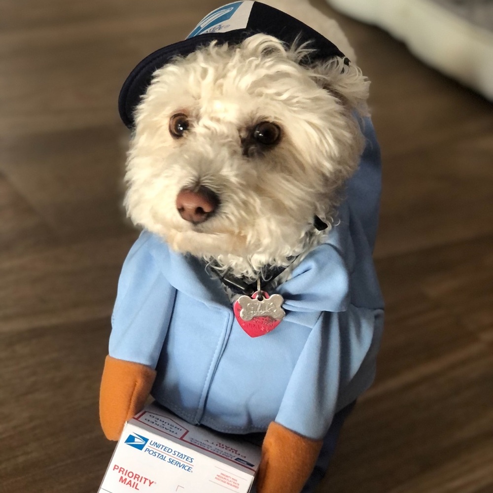 Meet your Posher, Fareed